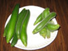 Edible Luffa Photo