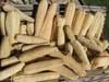 Pile of Organic Loofah